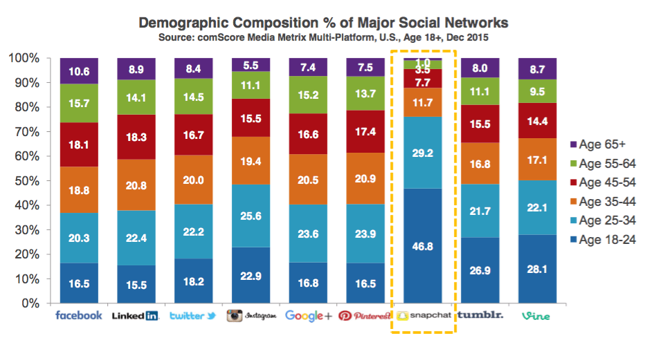 demographics of social media users