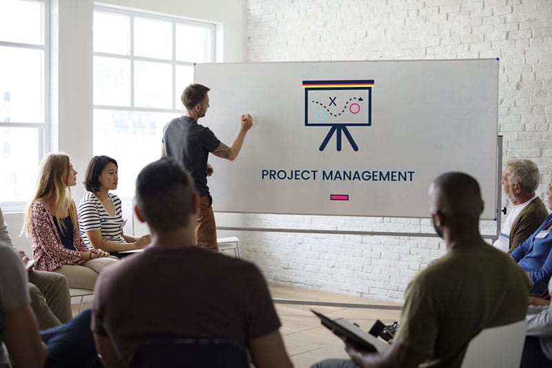 web design project management